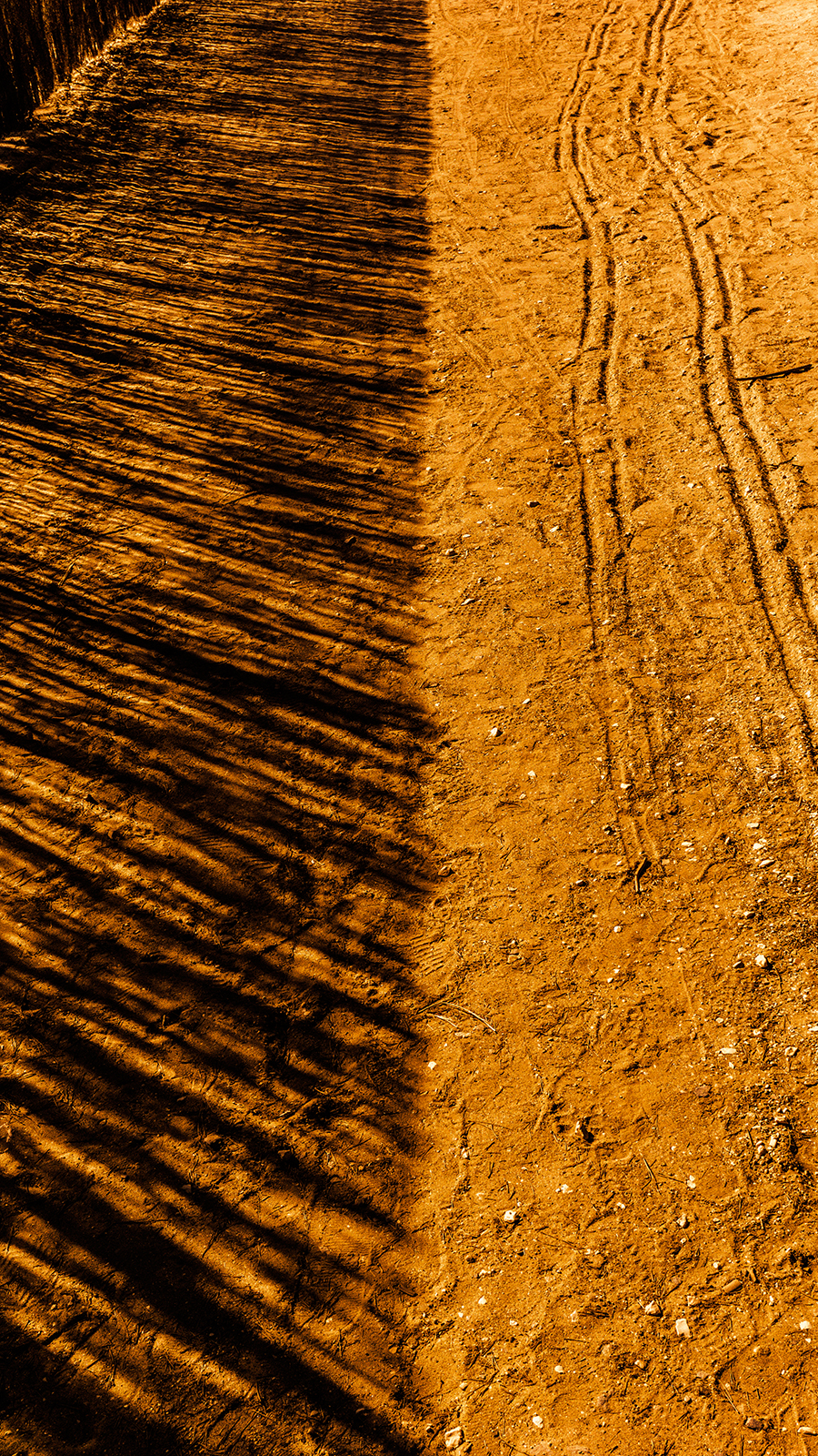 linesand