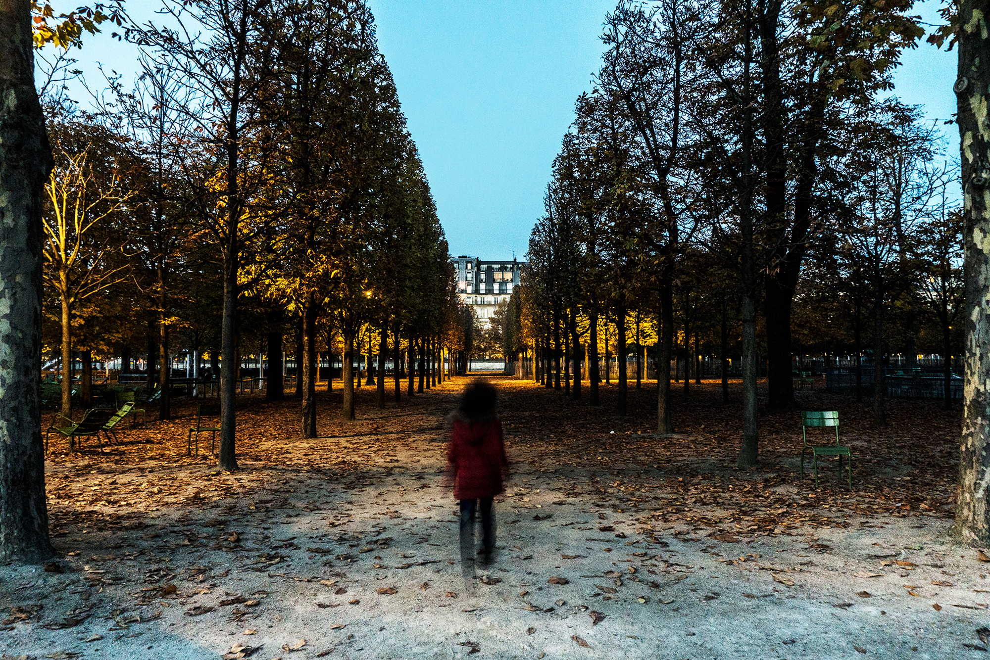 Jardin des Tuileries en automne