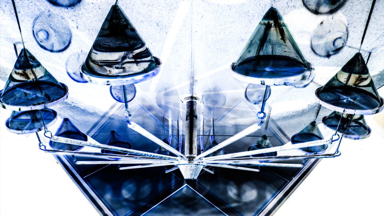 drops-of-time—parallel-universe